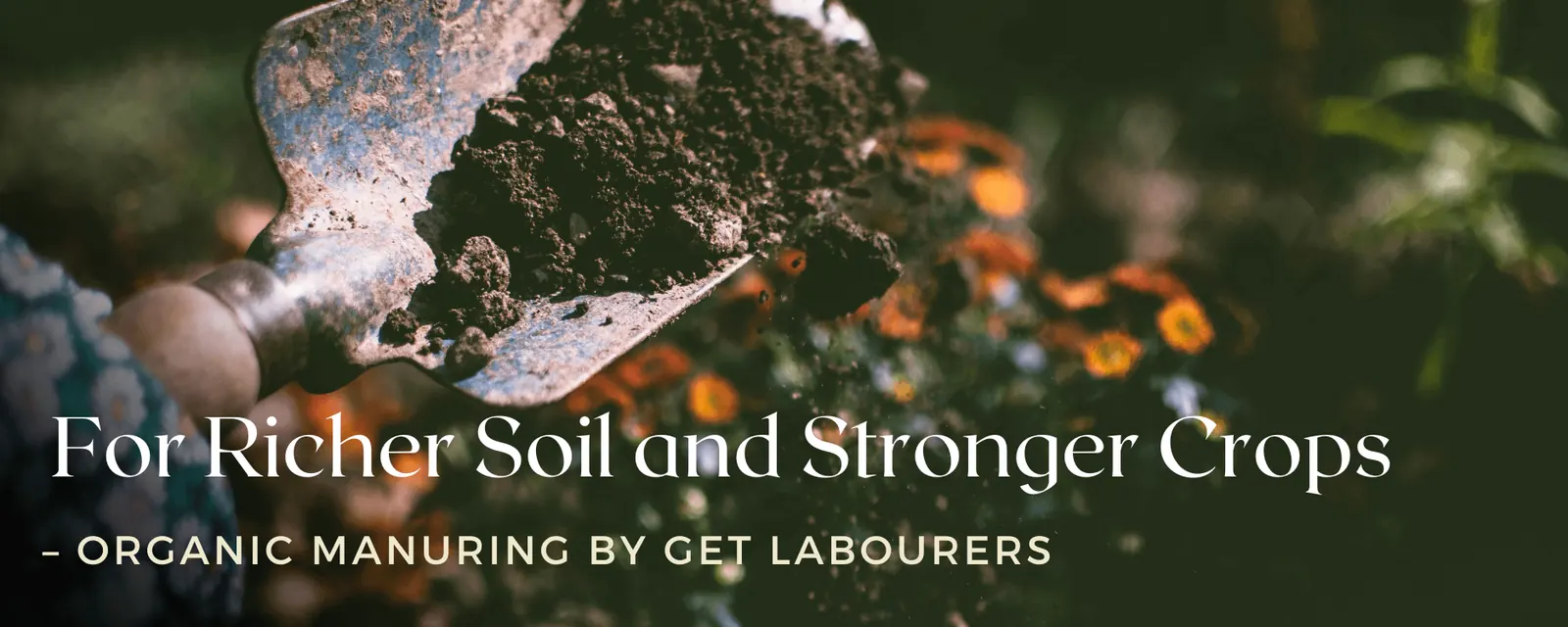Rich dark soil after organic manuring