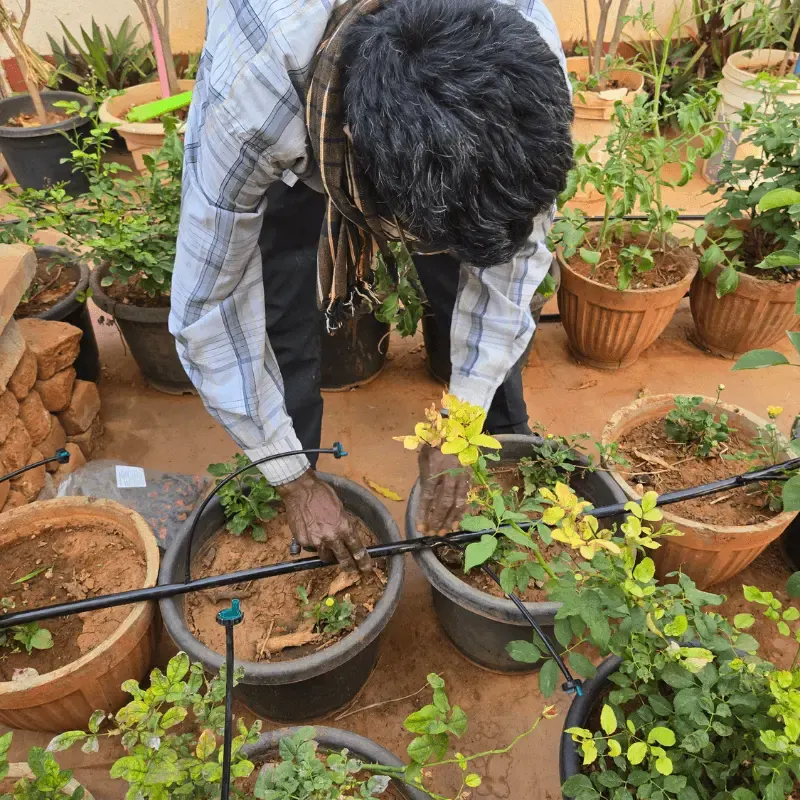 Drip Irrigation in Bangalore