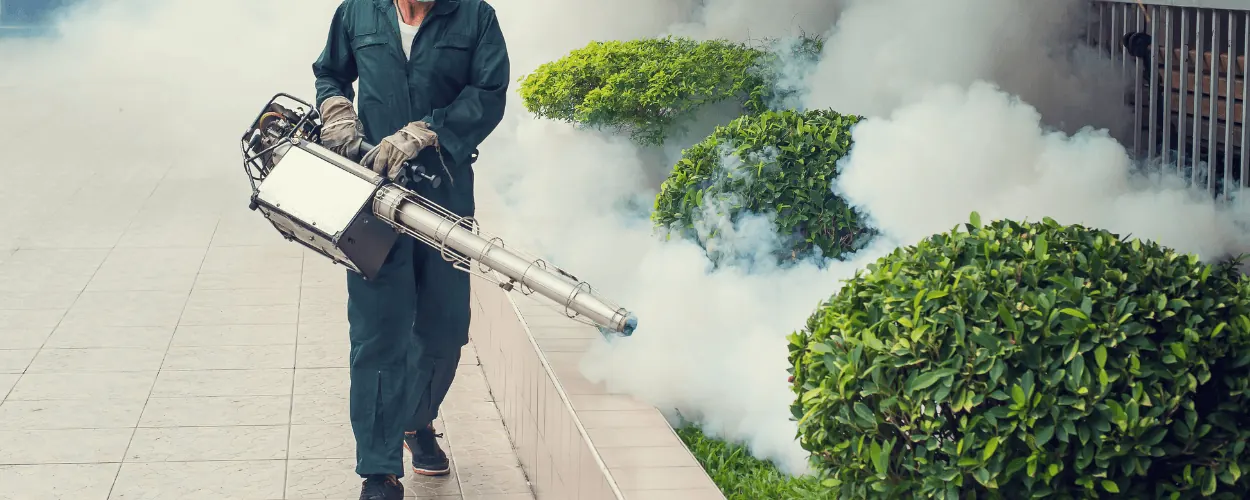 Mosquito Fogging in Bangalore