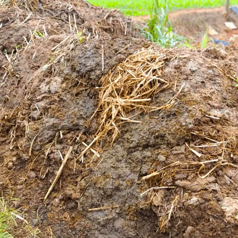 Organic soil mix for pots and gardens