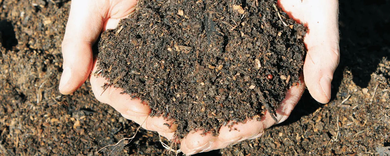 Hands holding rich organic soil