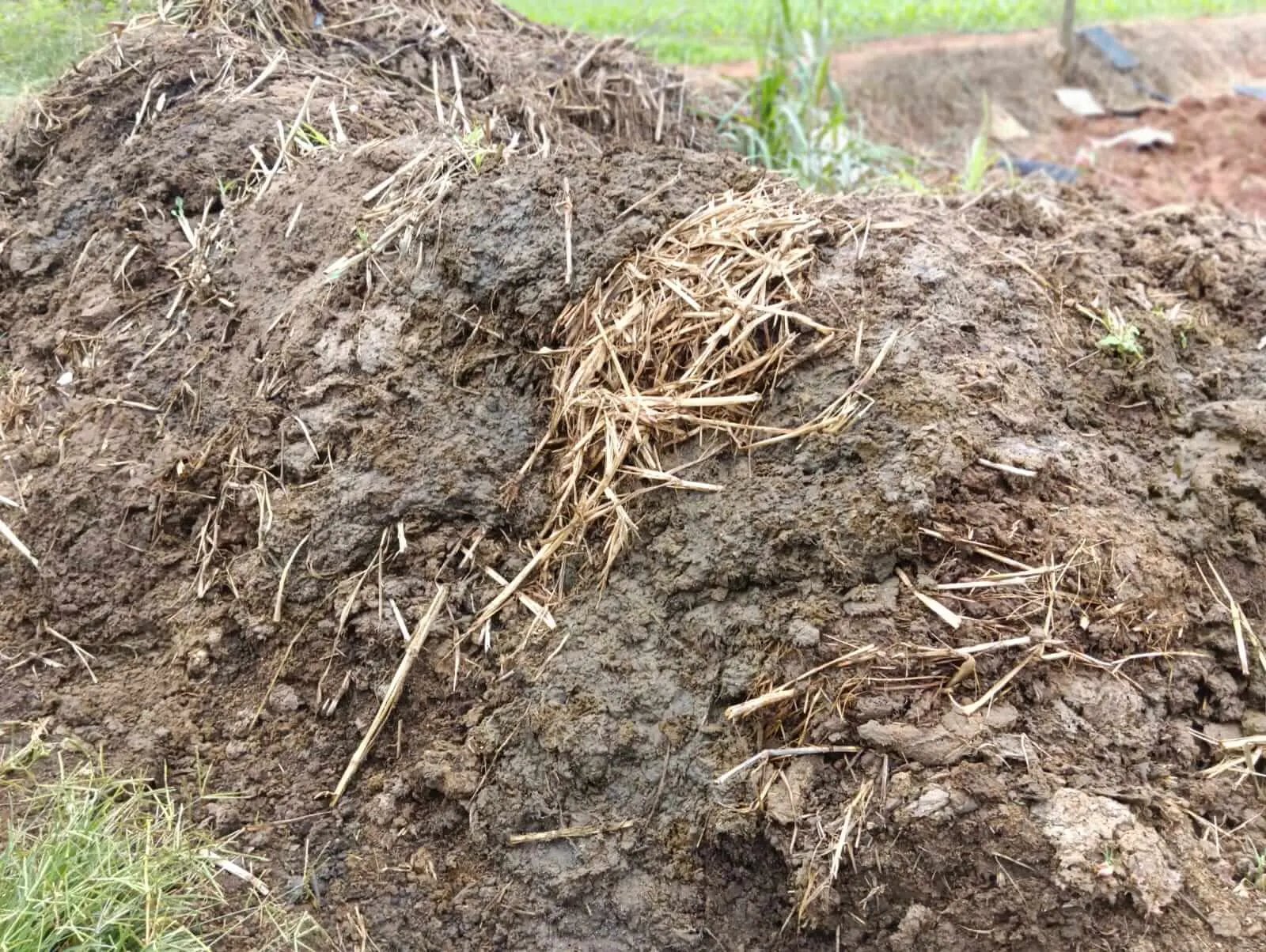 Pile of aged organic manure ready for soil enrichment in Bangalore