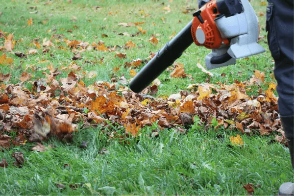Garden design and landscaping in Bangalore