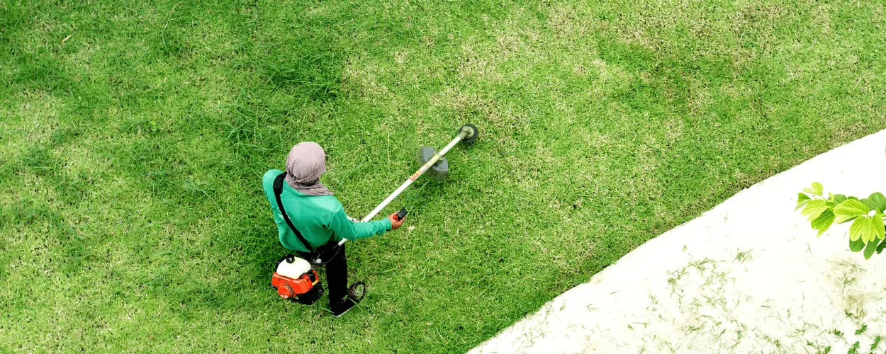 Landscaping Services in Bangalore