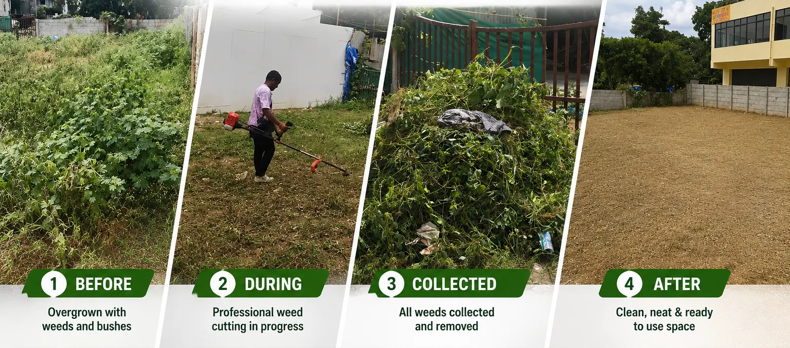Site cleaning in 4 steps: before, during, collected and after