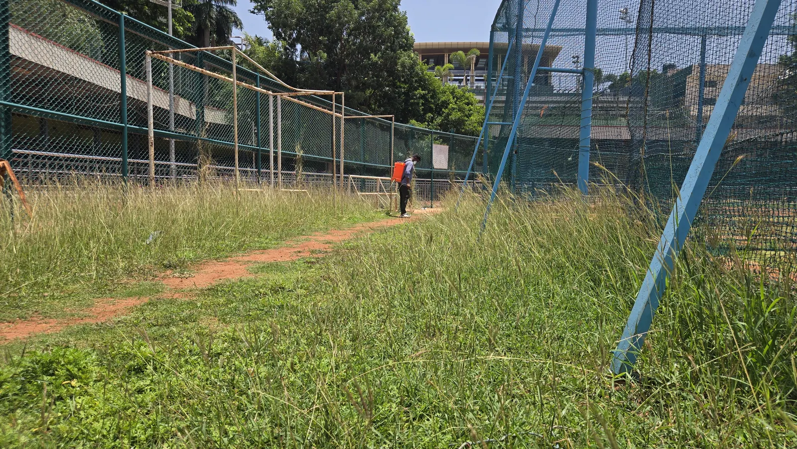 Before: Cricket practice nets: weed removal