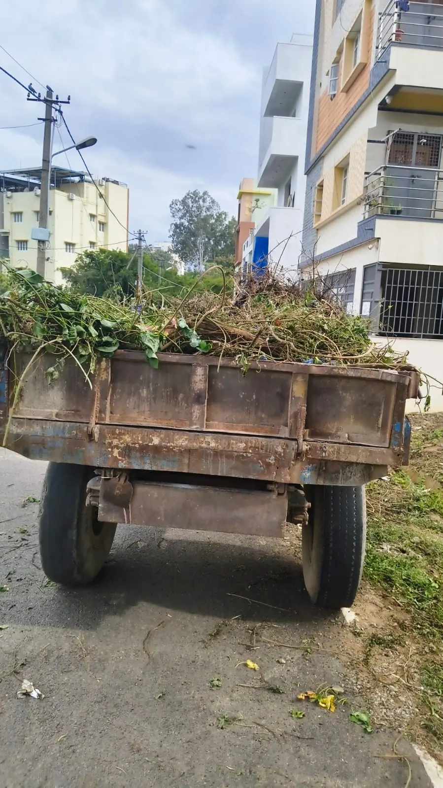 Green waste transported out of the site