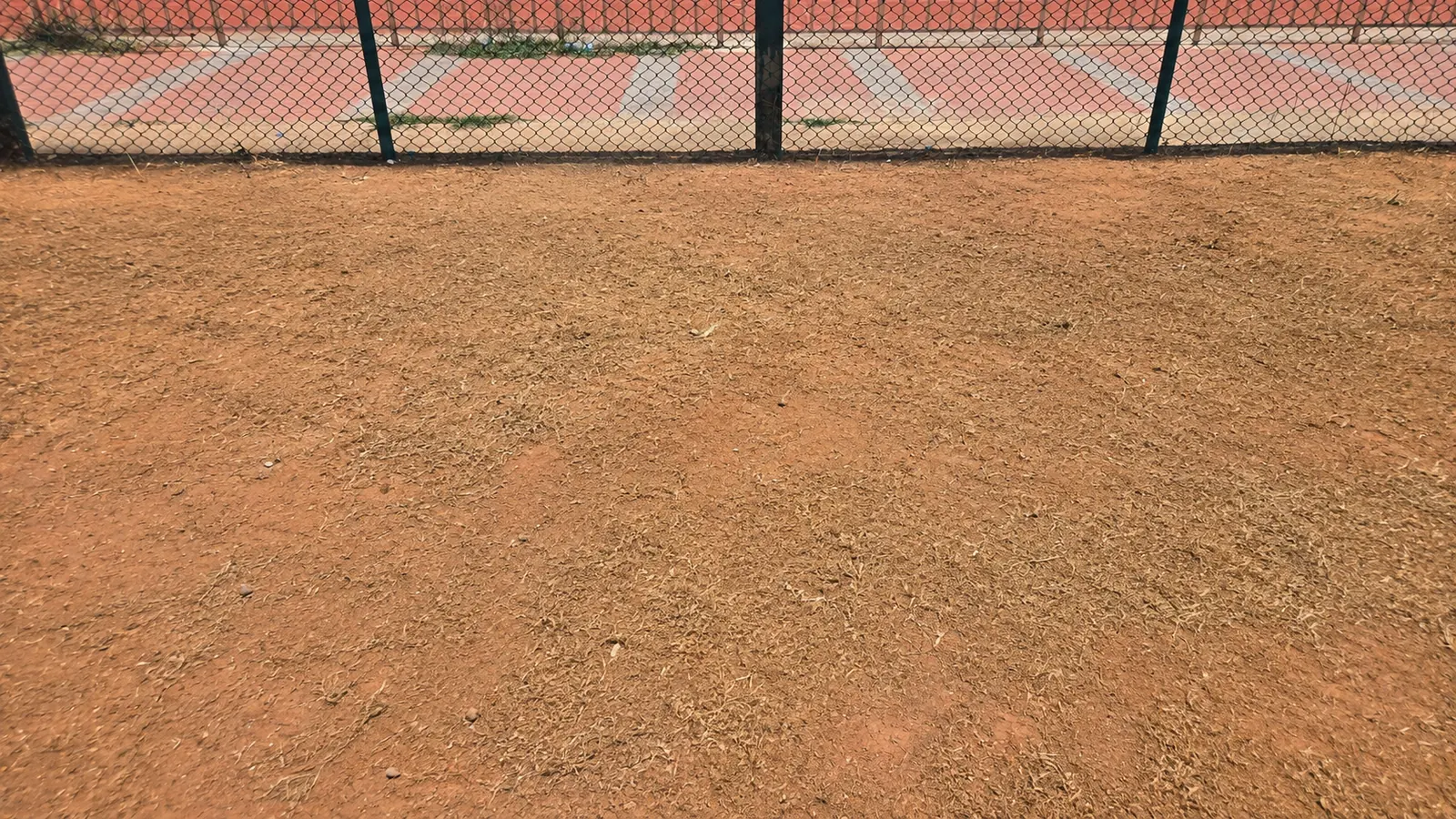 Clean, weed-free ground after site cleaning